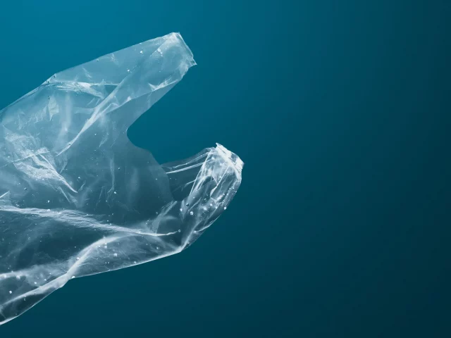 ¿Qué sucede con el plástico cuando llega al océano?