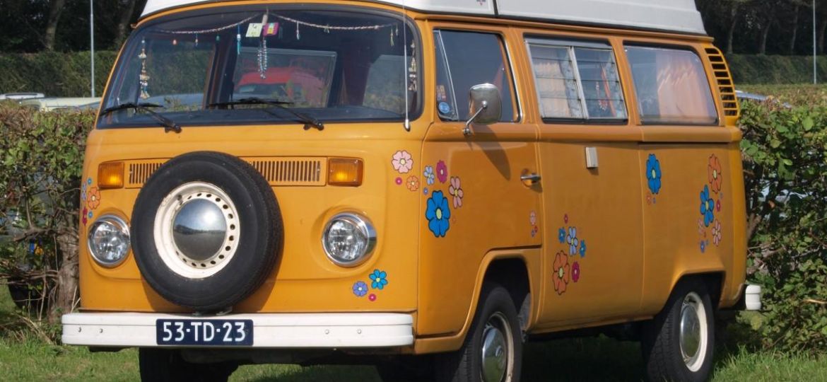 volkswagen_bully_oldtimer_camper_mobile_bus_camping_bus_freedom-711568